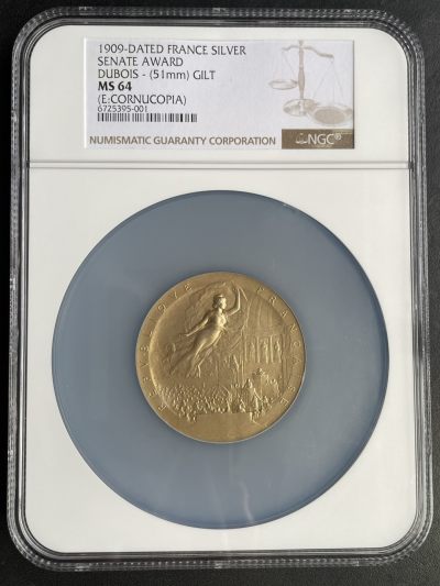 欧洲章牌-拍卖第25场 - H.Dubois～1909年法国参议院镀金银章
