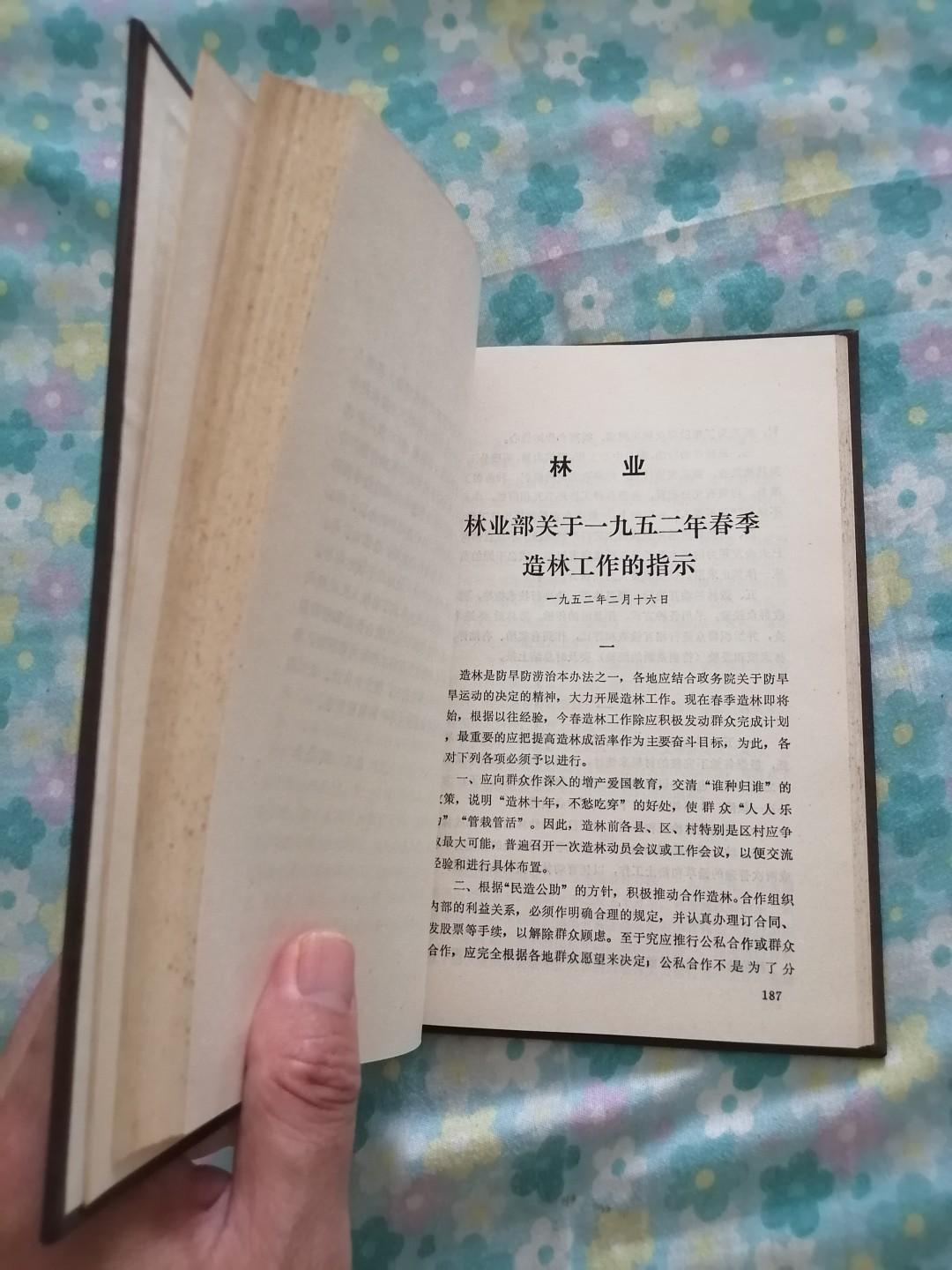 中央人民政府法令汇编（1952年）