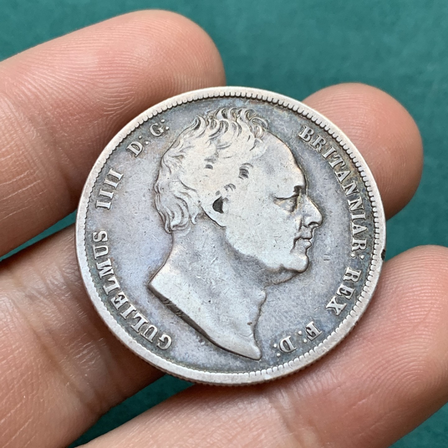 《竞宝斋》第175场-周日，周一2场 (全场包邮) 英国 1836年 威廉四世 半克朗银币 原味包浆