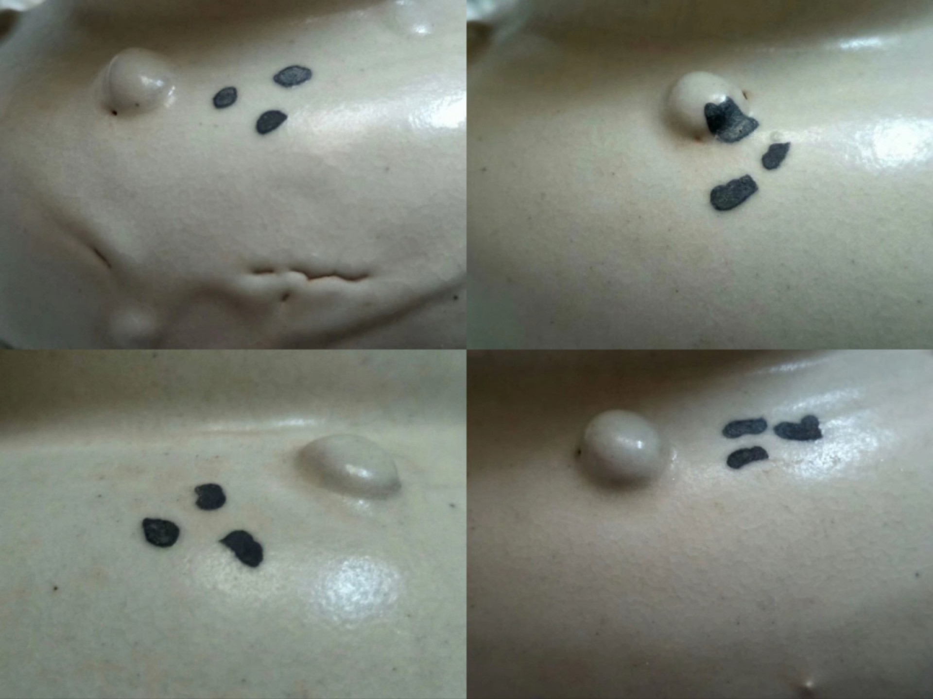 磁州窑系白黑彩釉鼓钉点彩渣斗