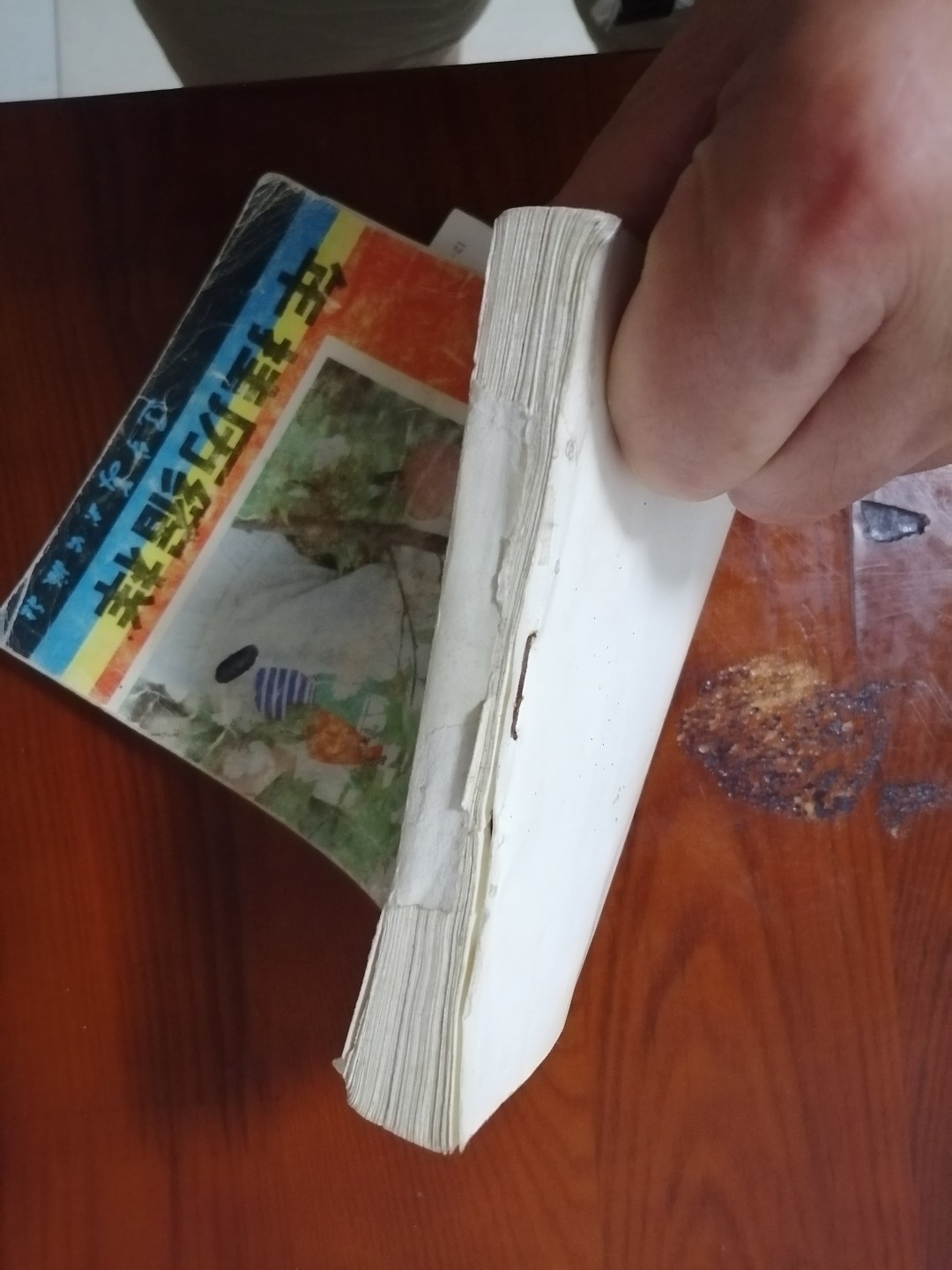 1987年挂历缩样