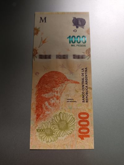 【专场20230622】热得不能再热了——热带国家/地区钞/币专场 - 【拍品002】阿根廷2018版1000比索UNC双冠