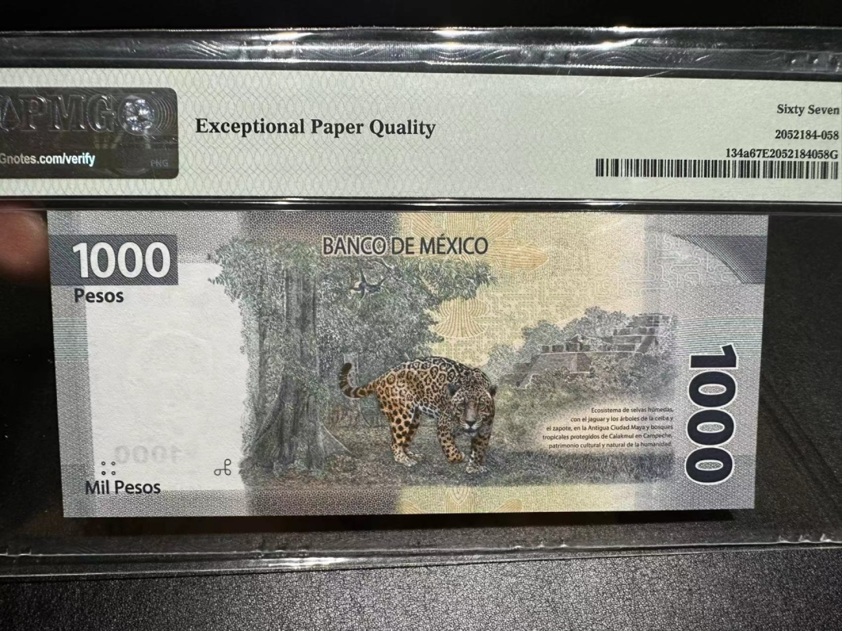 《外钞收藏家》第二百八十六期（连拍第三场） 2019年墨西哥1000比索 AA冠 PMG67