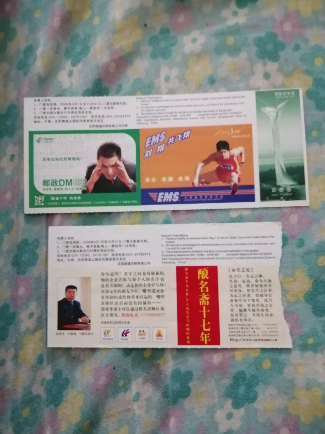 2006年沈阳世界园艺博览会门票2张