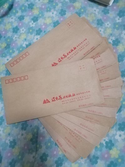 空白信封（14个合售） - 空白信封（14个合售）
