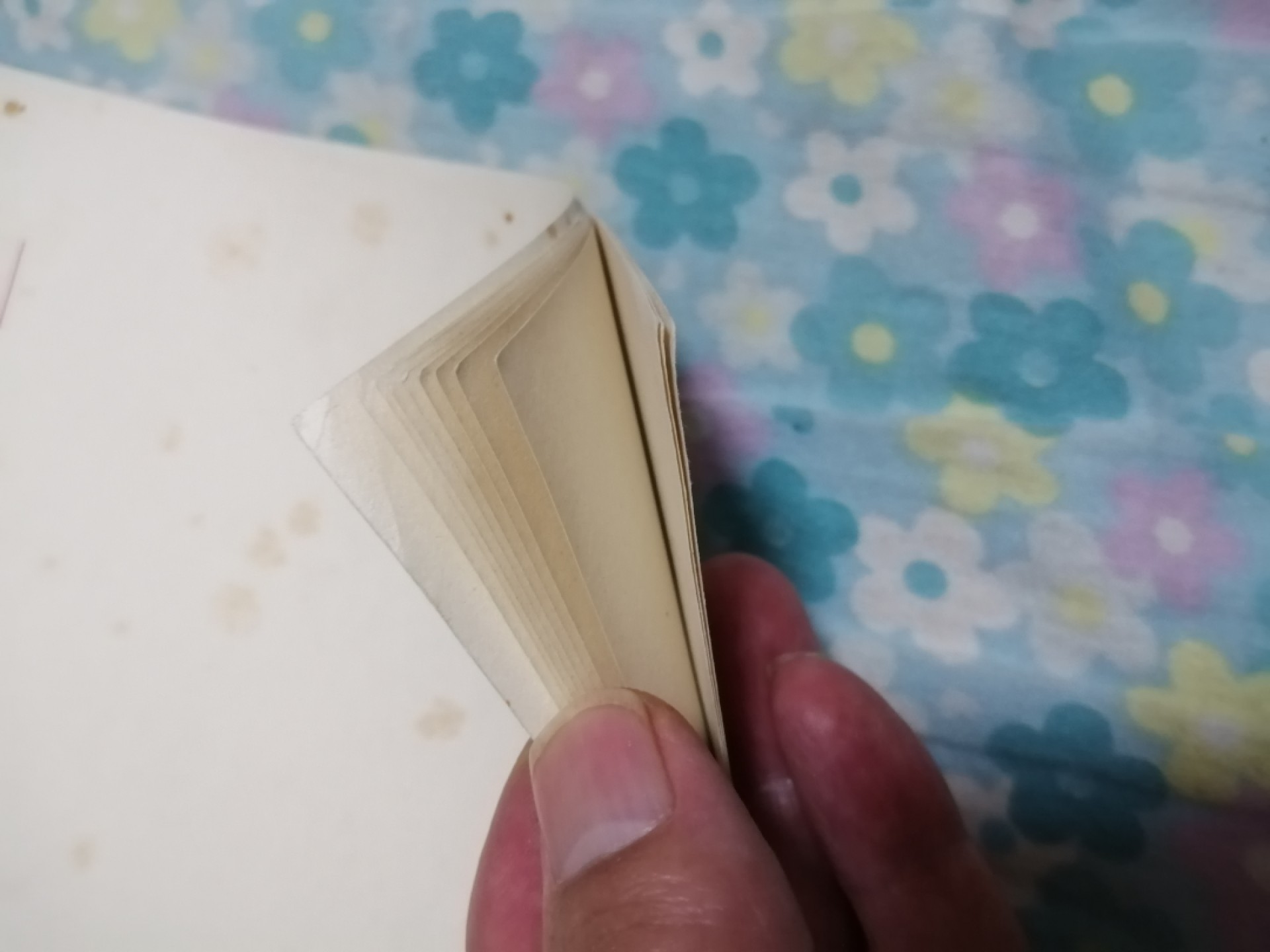 沈阳市装卸搬运劈铁分公司文件