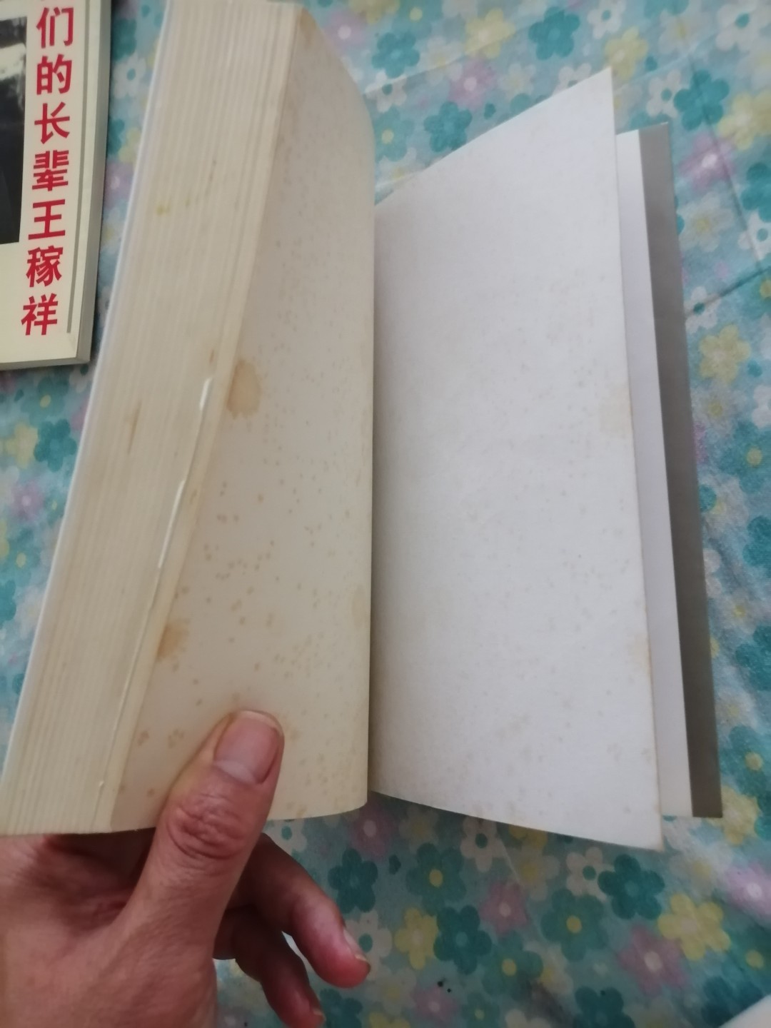 我的父亲朱德，我的父亲任弼时，我的长辈王稼祥3本合售