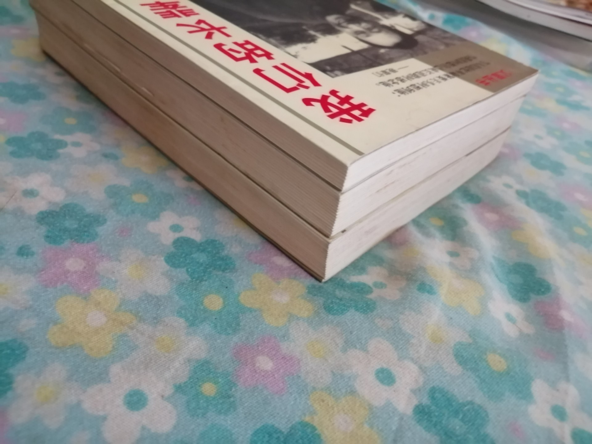 我的父亲朱德，我的父亲任弼时，我的长辈王稼祥3本合售