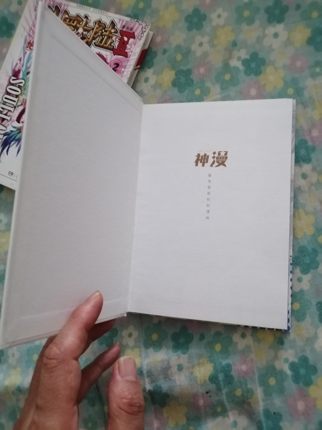斗罗大陆漫画版（二）1，2合售       近全新，32开精装全彩色印刷