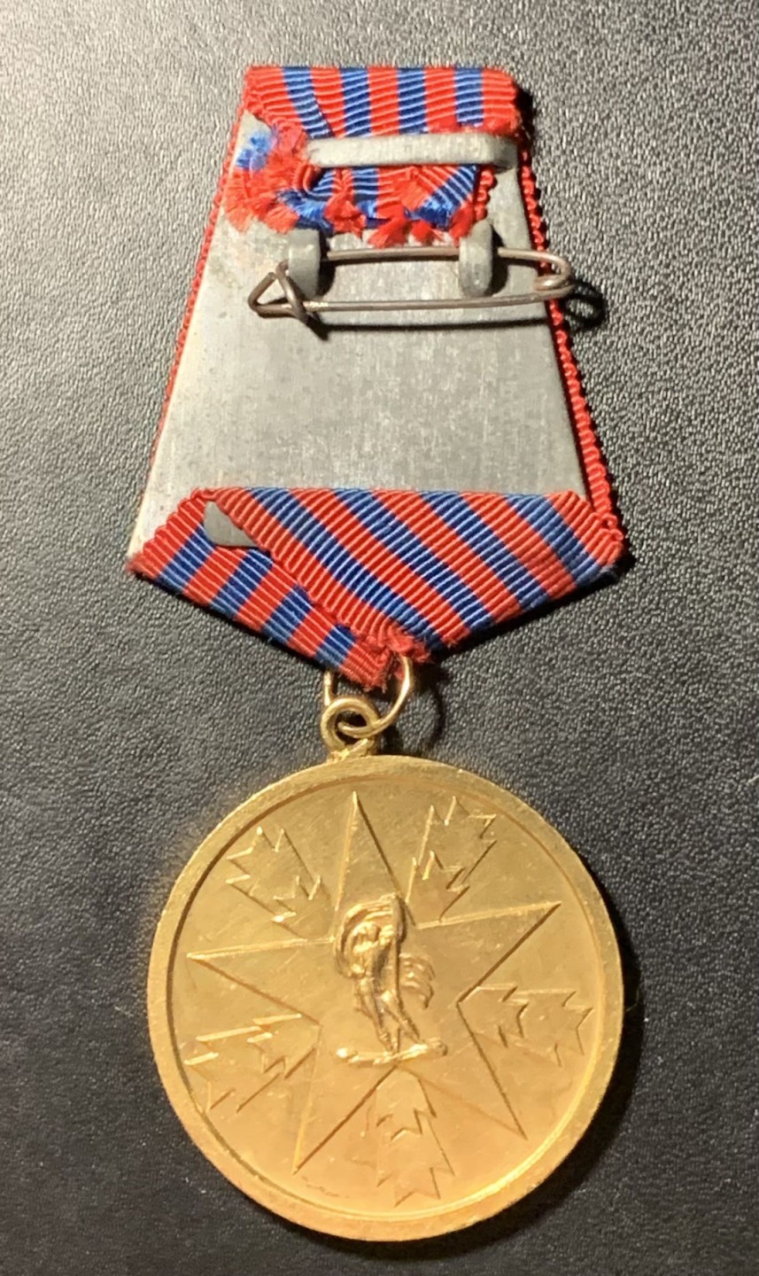 紫瑗钱币——第285期拍卖 南斯拉夫社会主义共和国 人民功勋 奖章 铜质