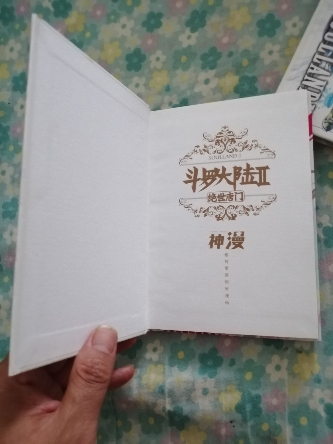 斗罗大陆漫画版（二）1，2合售       近全新，32开精装全彩色印刷