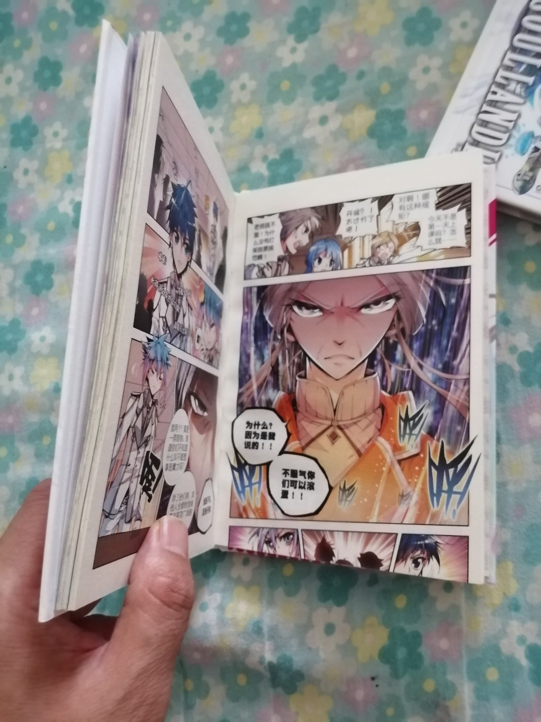 斗罗大陆漫画版（二）1，2合售       近全新，32开精装全彩色印刷