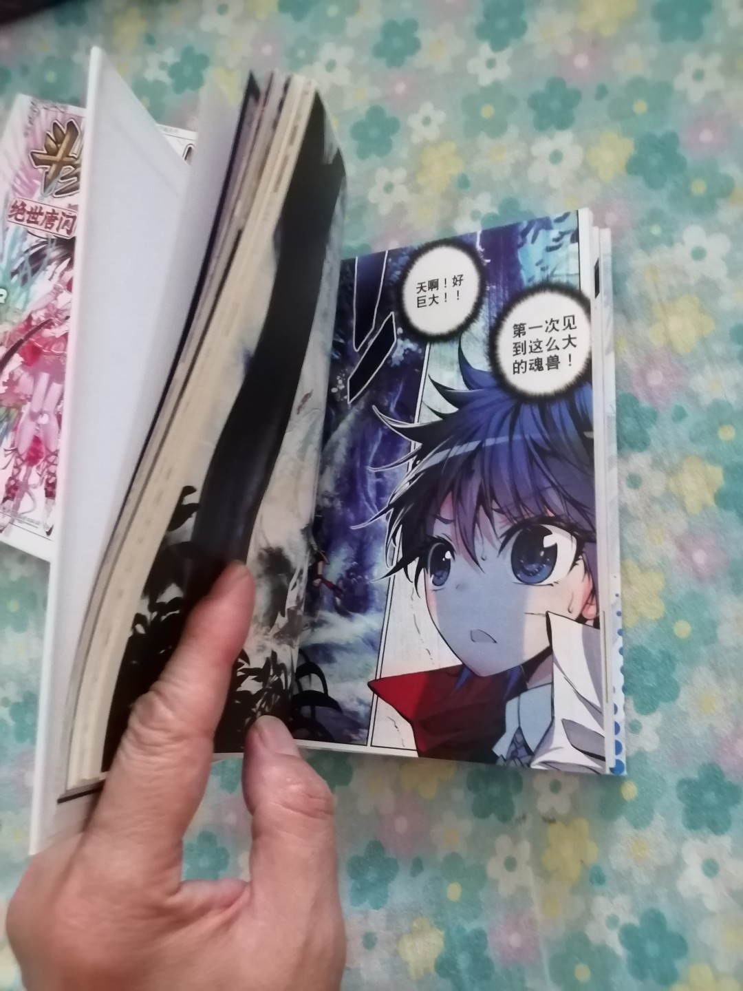 斗罗大陆漫画版（二）1，2合售       近全新，32开精装全彩色印刷