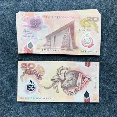 89th ¥ ¥🇵🇬巴新2021年5和20基纳，新年份，20基纳缩小版第一次发行流通钞 - 巴布亚新几内亚2021年20基纳，新日期，缩小版第一次发行流通钞，AW21026096