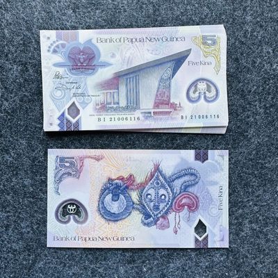 89th ¥ ¥🇵🇬巴新2021年5和20基纳，新年份，20基纳缩小版第一次发行流通钞 - 巴布亚新几内亚2021年5基纳，新日期，BI21007113