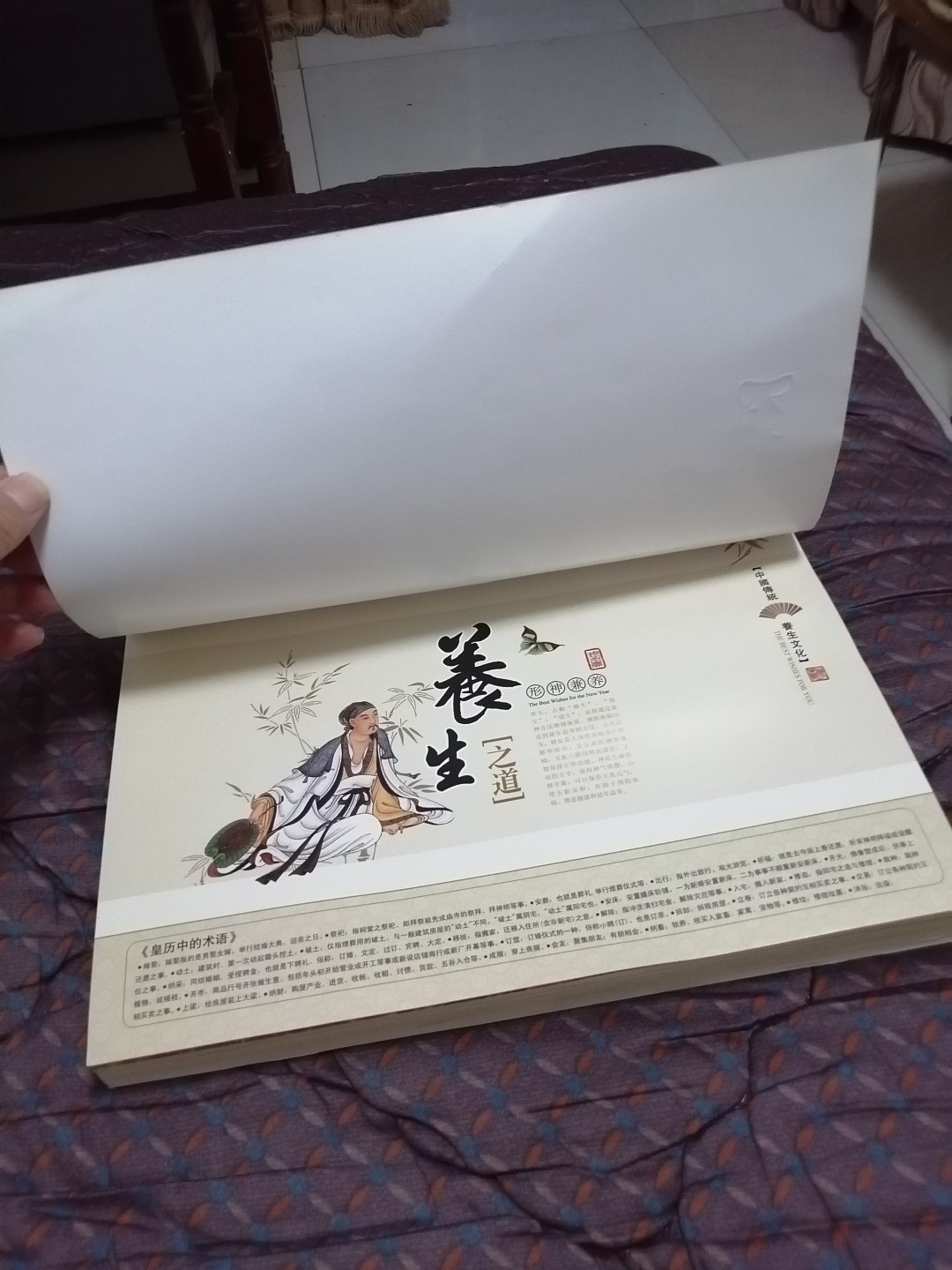 中华经典养生日历（特大型）