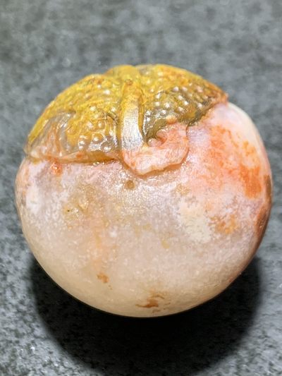 精美冰飘亚光战国红玛瑙手工俏色巧雕树叶随形圆珠一个， - 精美冰飘亚光战国红玛瑙手工俏色巧雕树叶随形圆珠一个，