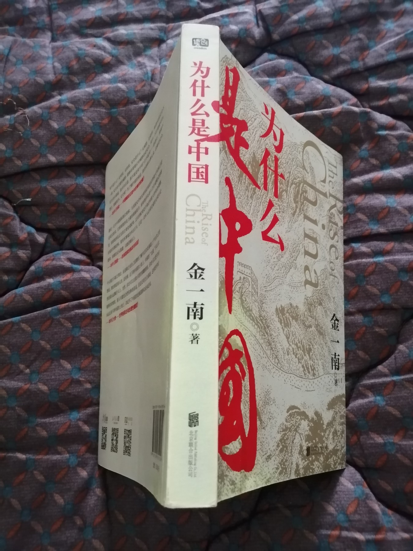 为什么是中国（金一南2020年全新作品。后疫情时代，中国的优势和未来在哪里？面对全球百年未有之大变局，中国将以何应对？）