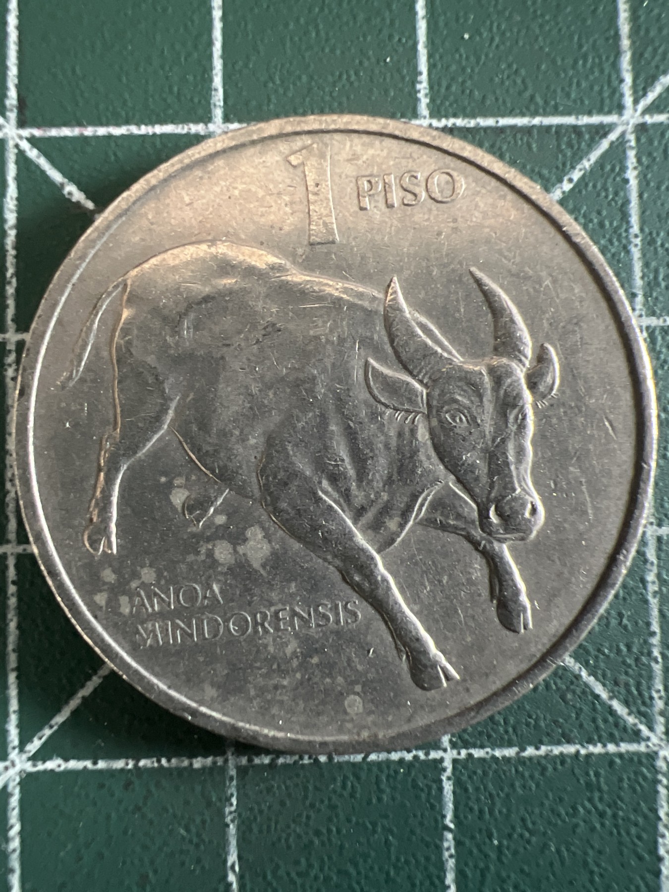 泡泡堂微拍第199幕硬币捡漏可累计专场👿👿，累计满二十元包邮，接受代拍业务 菲律宾1比索大牛