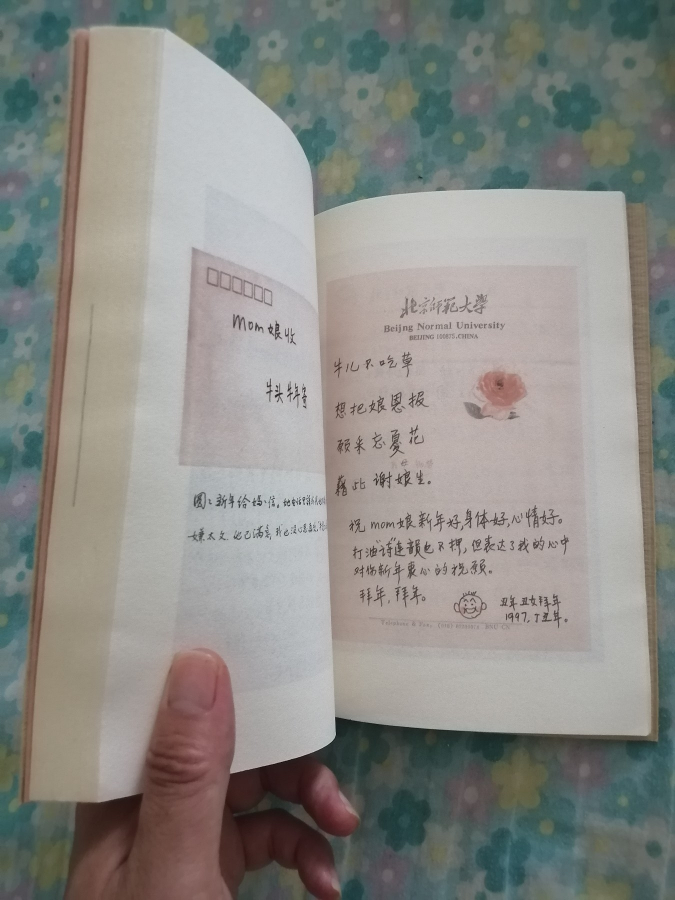 我们仨（新版）