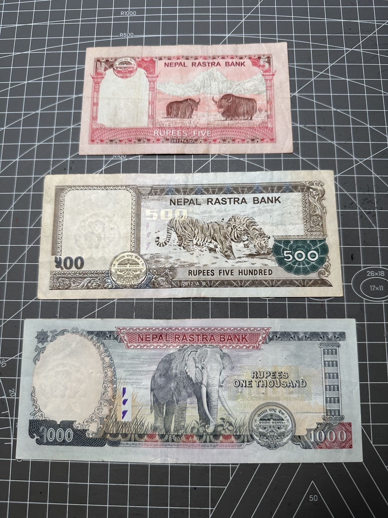 尼泊尔卢比，流通3张