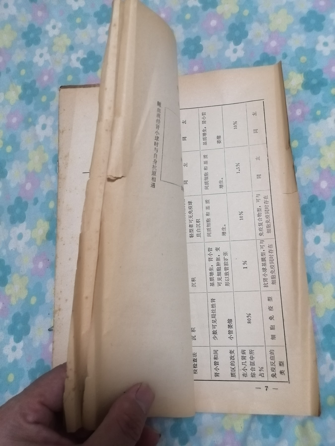 医学资料（肾病综合征）