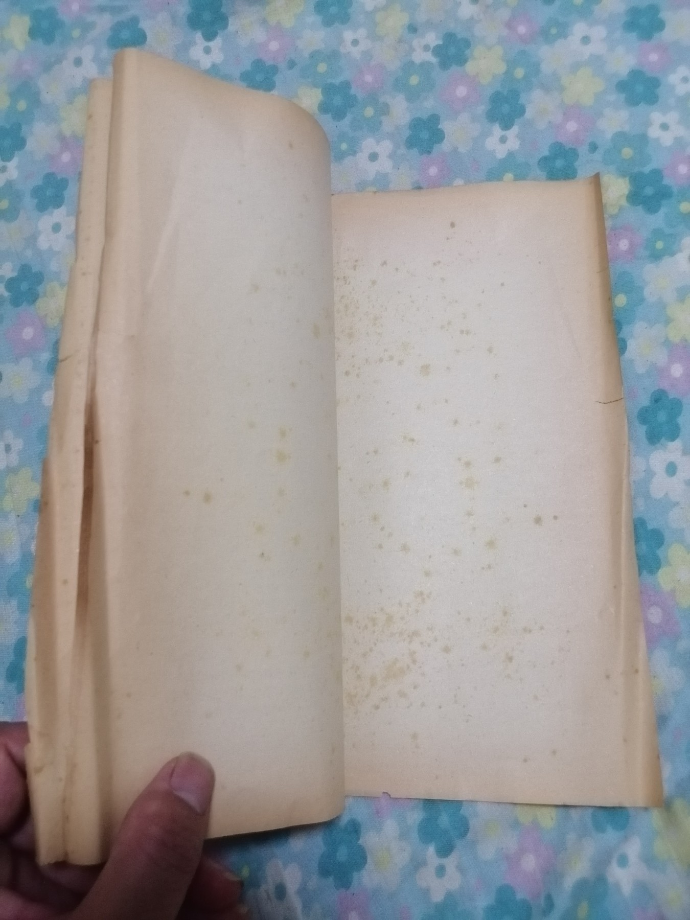 医学资料（肾病综合征）
