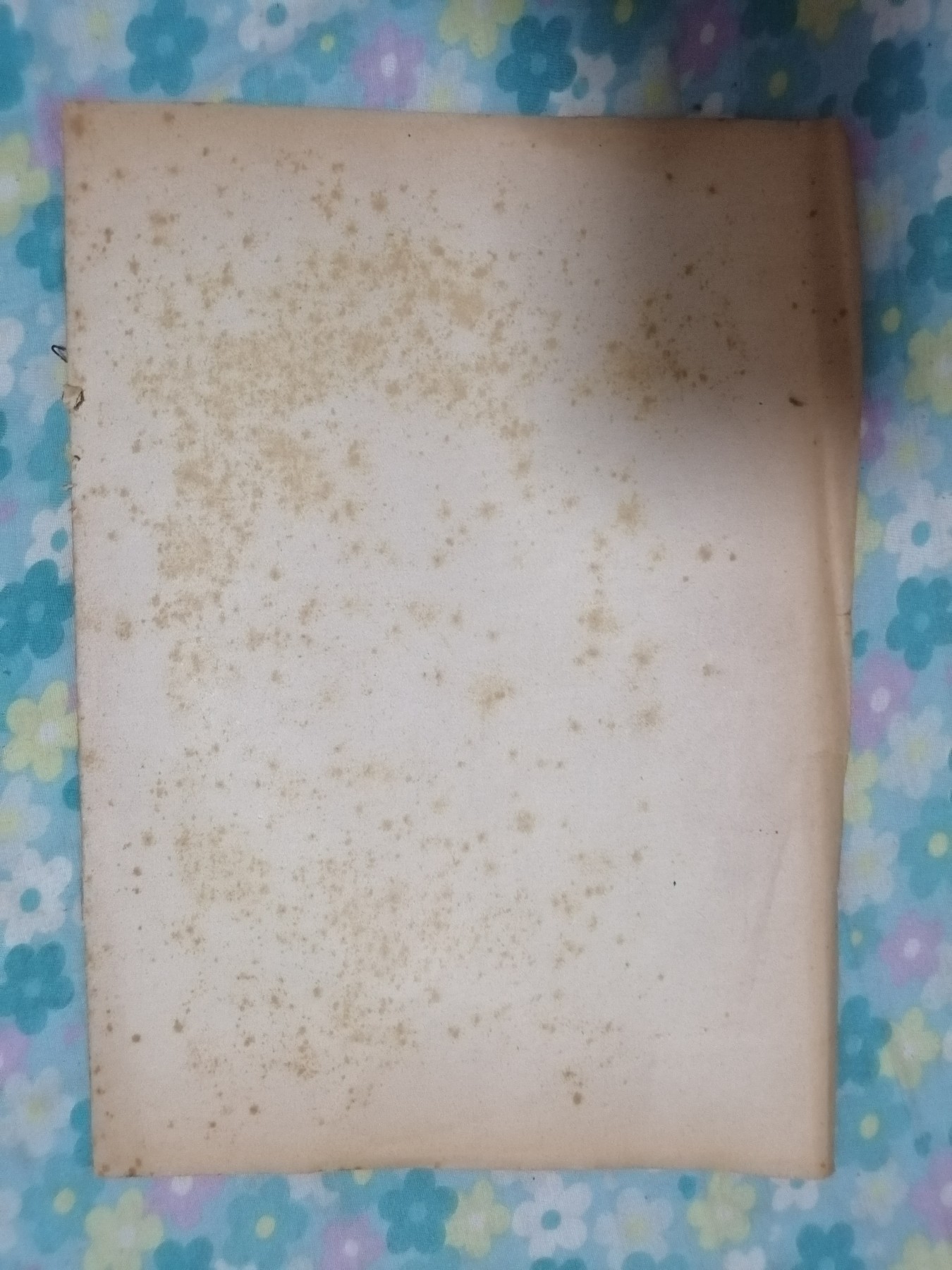 医学资料（肾病综合征）