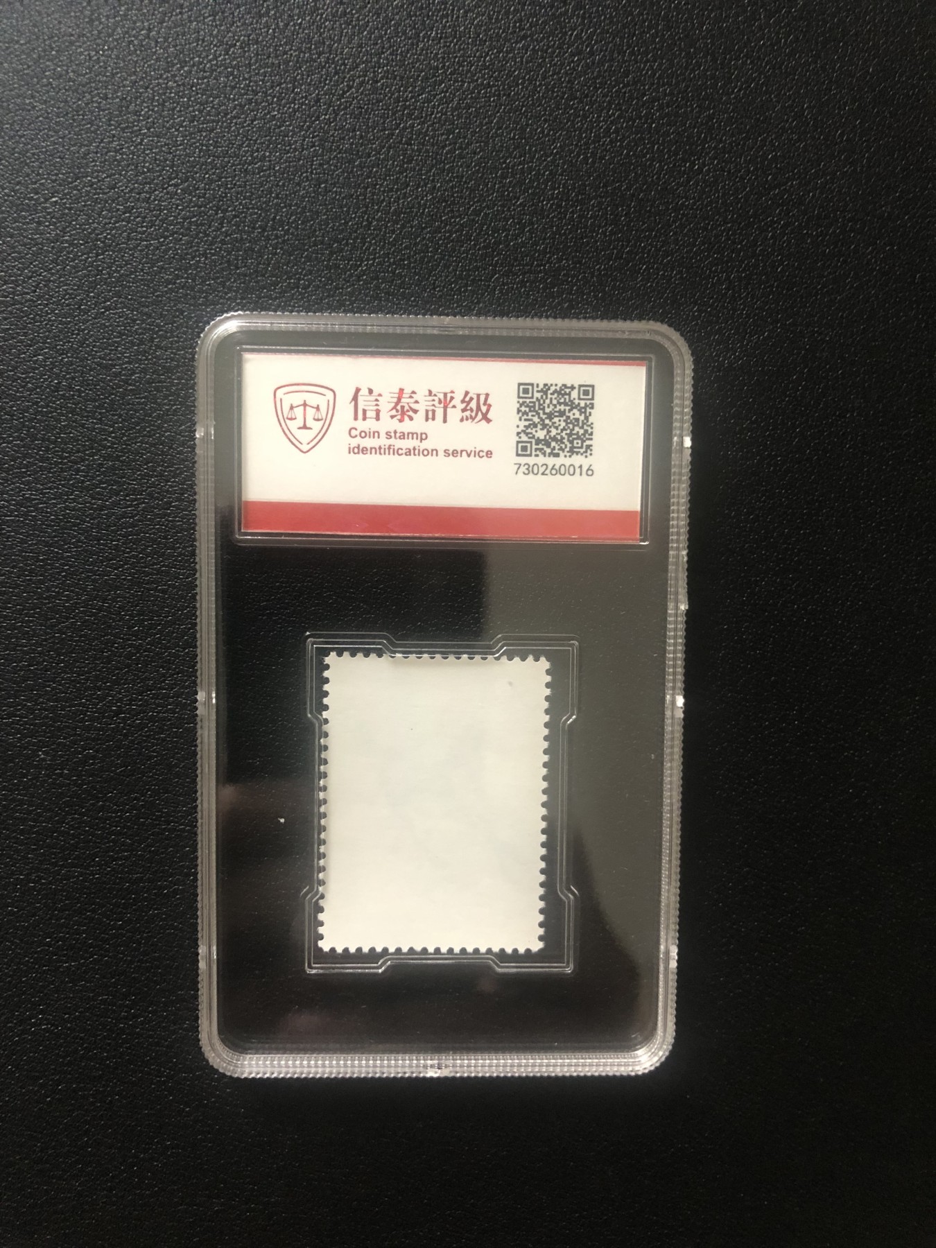 小骏钱币 T28奔马，10-6