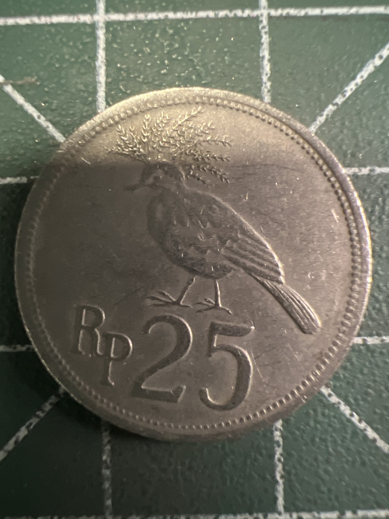 泡泡堂第350期  世界硬币 （无押金，捡漏，全场20包邮，偏远地区除外，接收代拍业务） 印尼25卢比