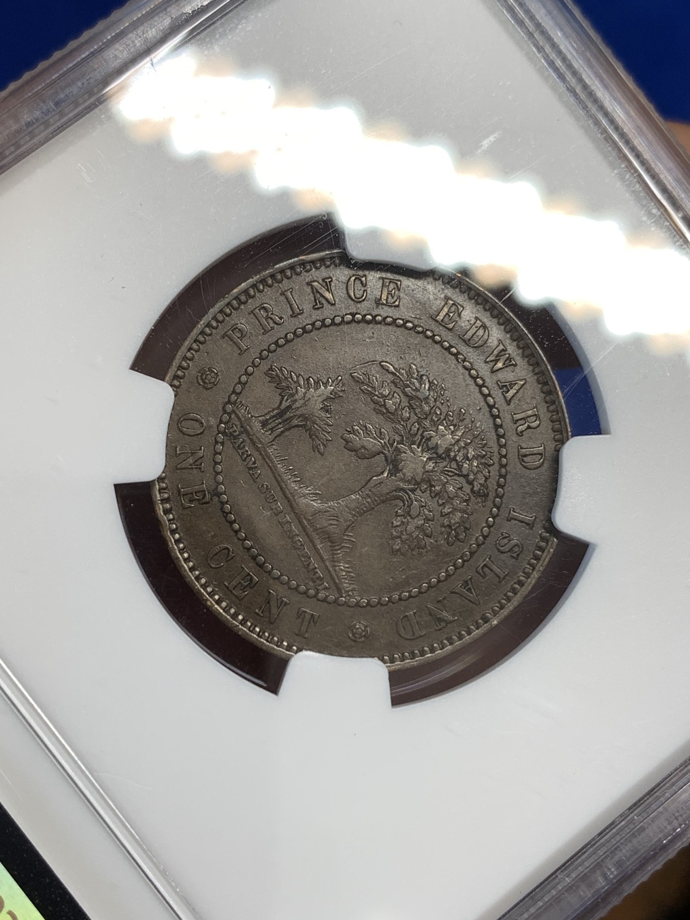 《竞宝斋》第179场-周日，周一2场 (全场包邮) NGC-AU53 1871年 维多利亚女王 爱德华王子岛1分铜币 维皇像+橡树，少见品种。深棕色均匀包浆，细节很好。加拿大的诞生之地