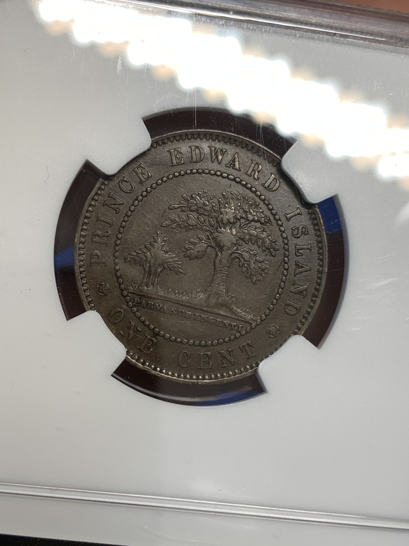 《竞宝斋》第179场-周日，周一2场 (全场包邮) NGC-AU53 1871年 维多利亚女王 爱德华王子岛1分铜币 维皇像+橡树，少见品种。深棕色均匀包浆，细节很好。加拿大的诞生之地