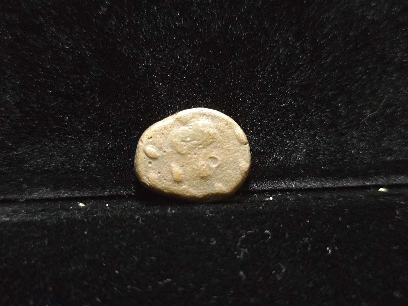 【希罗维】第5回：各路藏家齐聚堂，金银钱币惹人醉，千年钱币