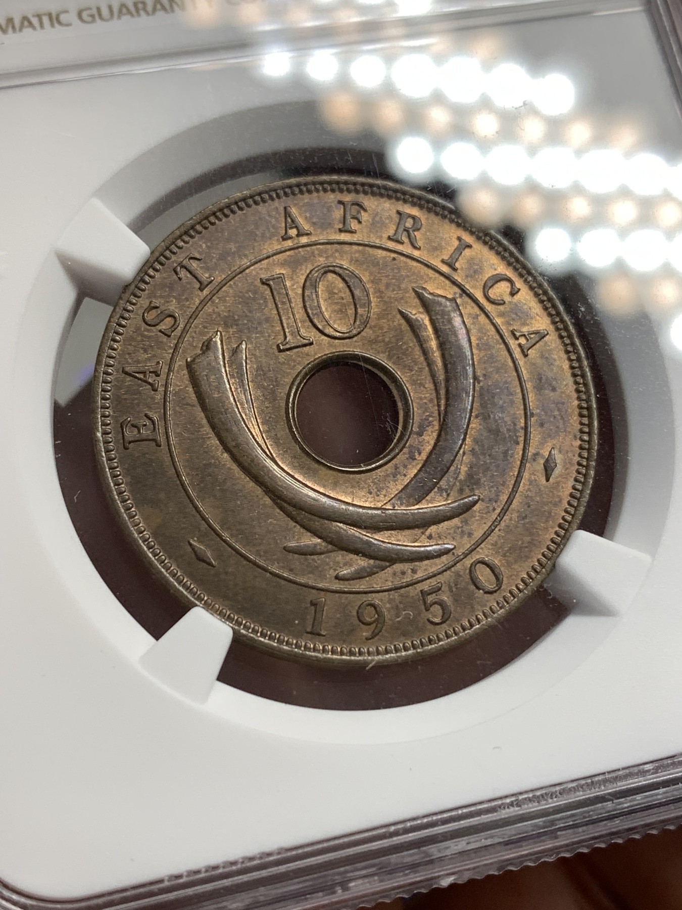 《竞宝斋》第179场-周日，周一2场 (全场包邮) NGC MS63BN 英属东非1950年10分铜币