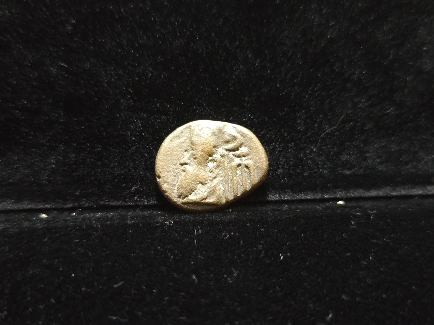 【希罗维】第5回：各路藏家齐聚堂，金银钱币惹人醉，千年钱币