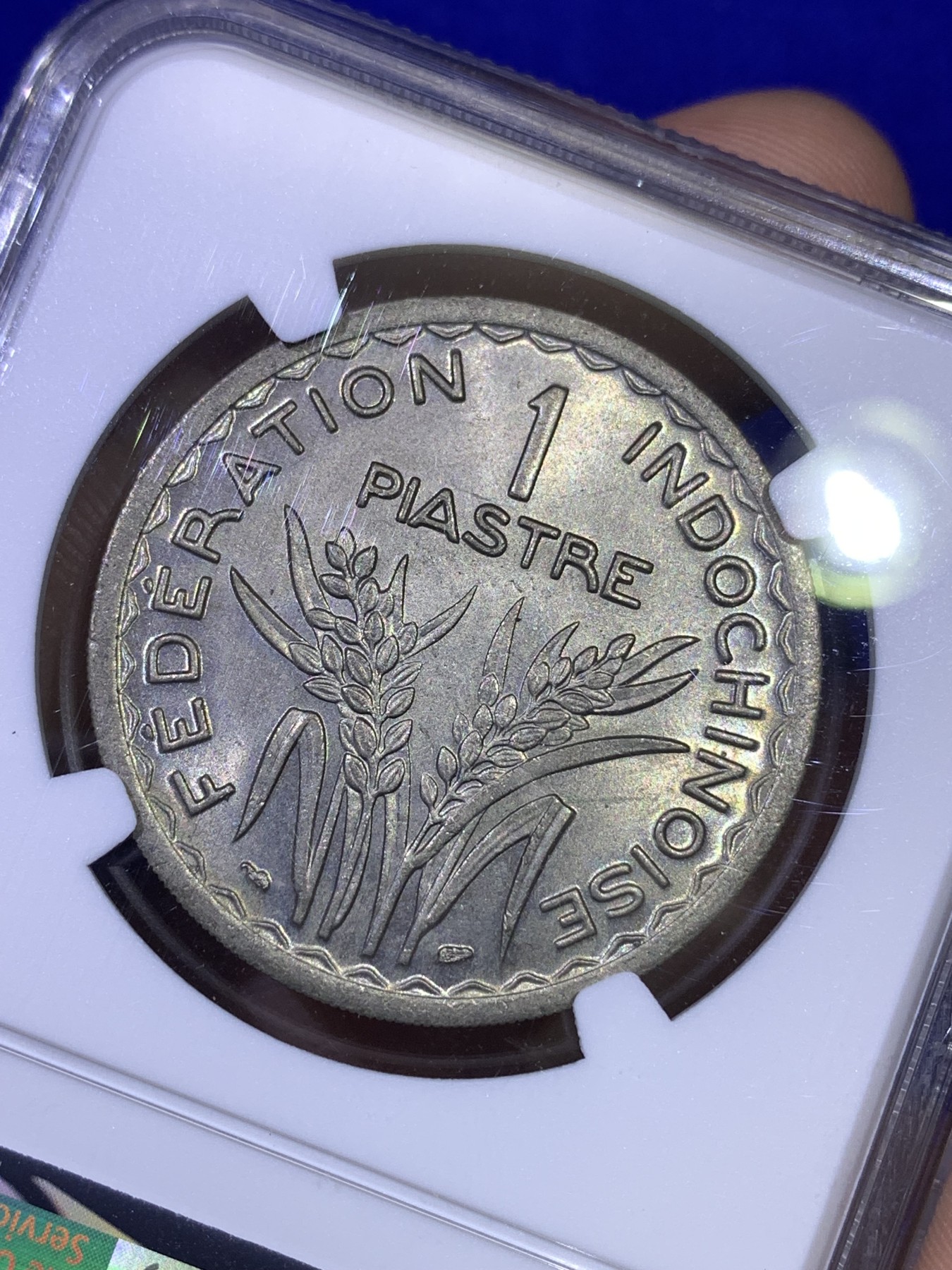 《竞宝斋》第179场-周日，周一2场 (全场包邮) NGC-MS64 1947法属印支 1皮亚斯特镍币