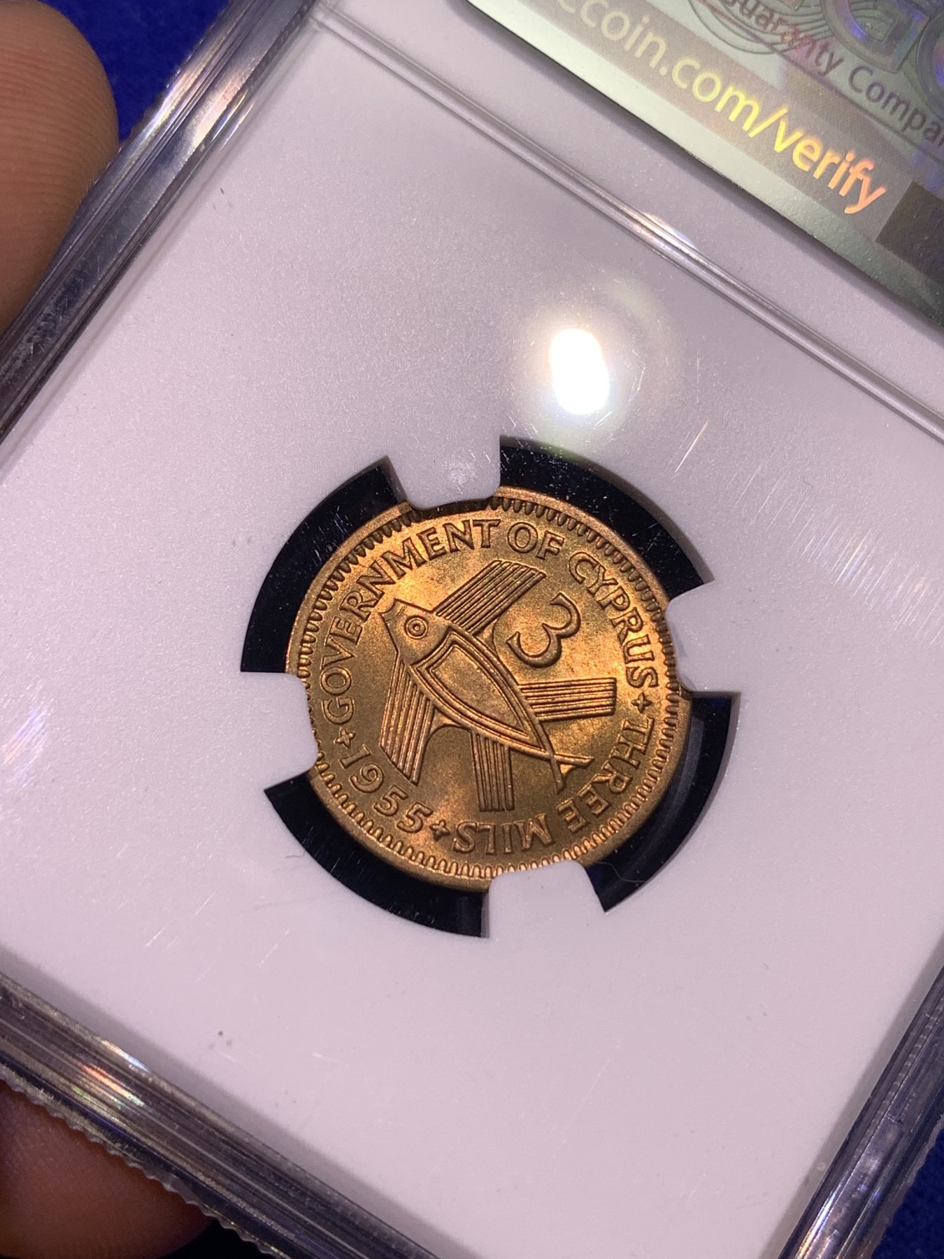 《竞宝斋》第179场-周日，周一2场 (全场包邮) NGC-MS65 塞浦路斯 1955年 伊丽萨白女王 背面是小鱼 3M铜币 少见辅币分好