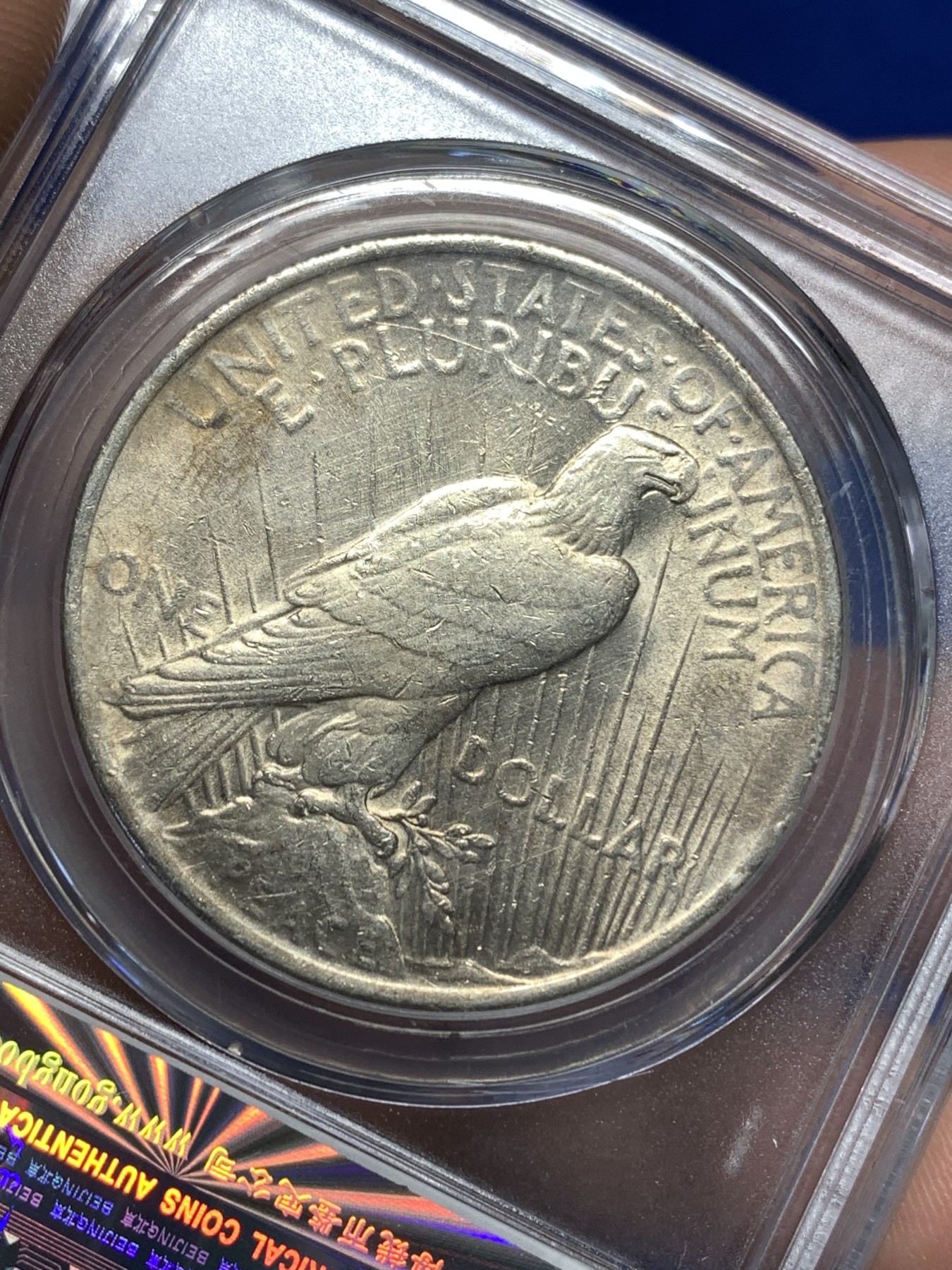 《竞宝斋》第179场-周日，周一2场 (全场包邮) 公博-MS62 美国1923年和平银币，经典品种