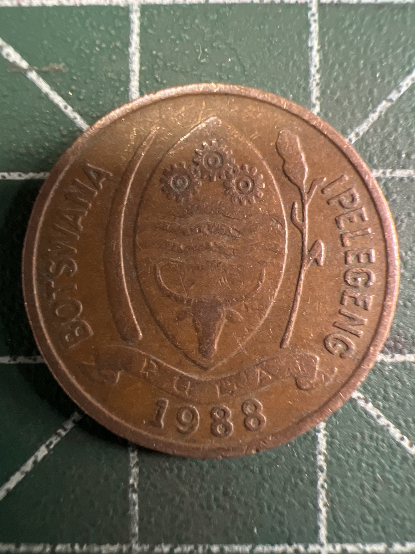 泡泡堂第377期 硬币专场 （无押金，捡漏，全场20包邮，偏远地区除外，接收代拍业务） 博茨瓦纳5瑟比