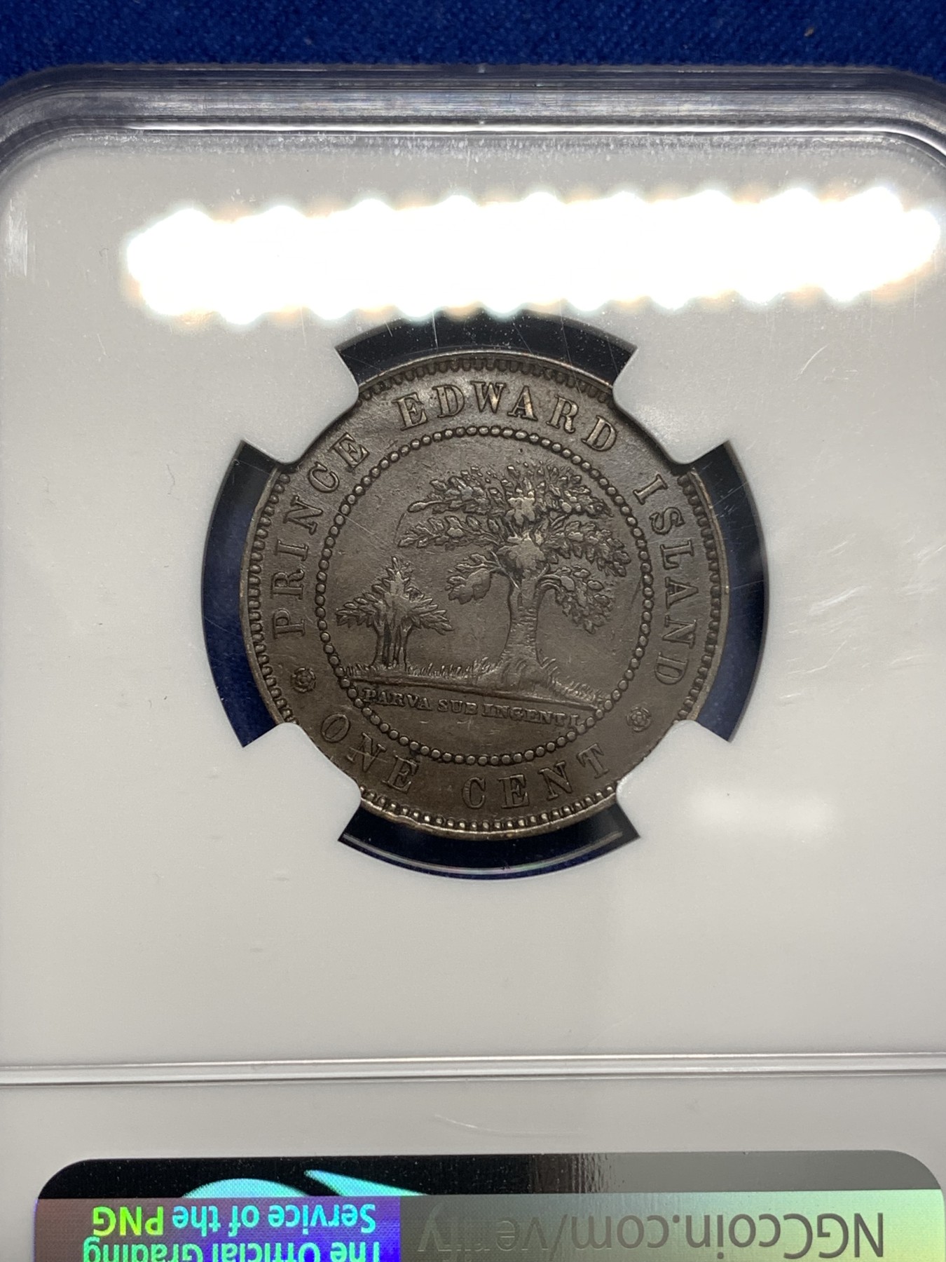 《竞宝斋》第179场-周日，周一2场 (全场包邮) NGC-AU53 1871年 维多利亚女王 爱德华王子岛1分铜币 维皇像+橡树，少见品种。深棕色均匀包浆，细节很好。加拿大的诞生之地