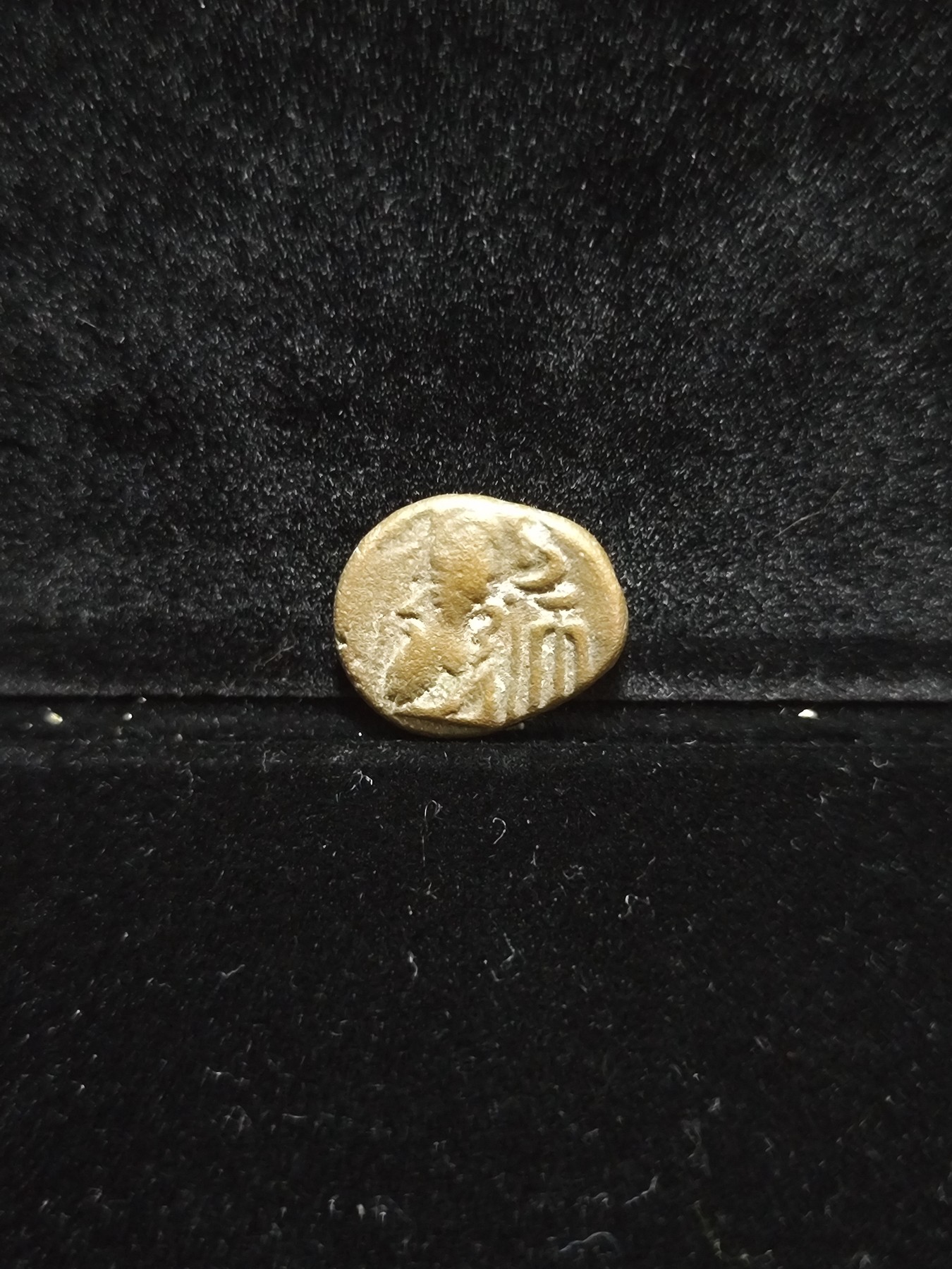 【希罗维】第5回：各路藏家齐聚堂，金银钱币惹人醉，千年钱币