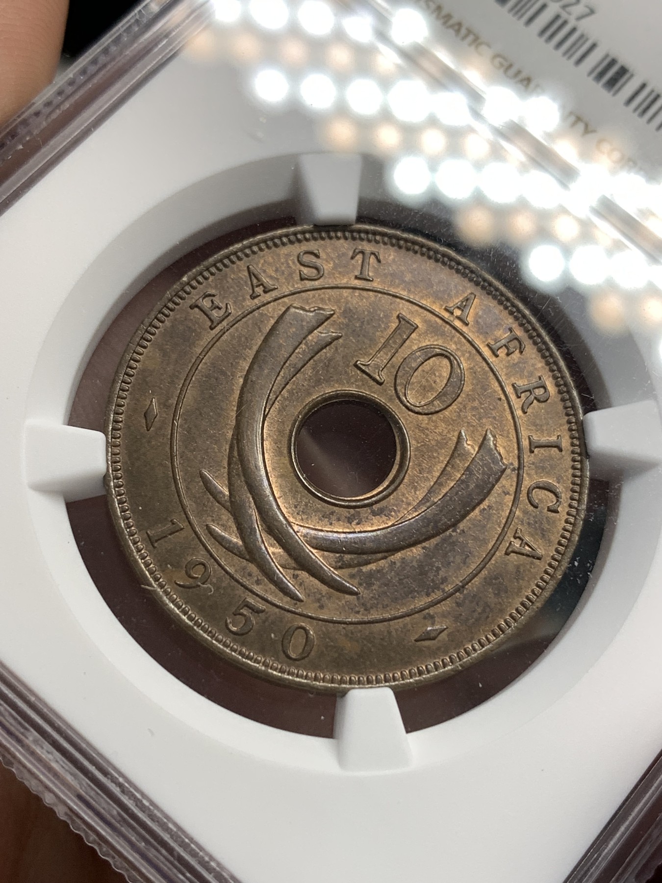 《竞宝斋》第179场-周日，周一2场 (全场包邮) NGC MS63BN 英属东非1950年10分铜币