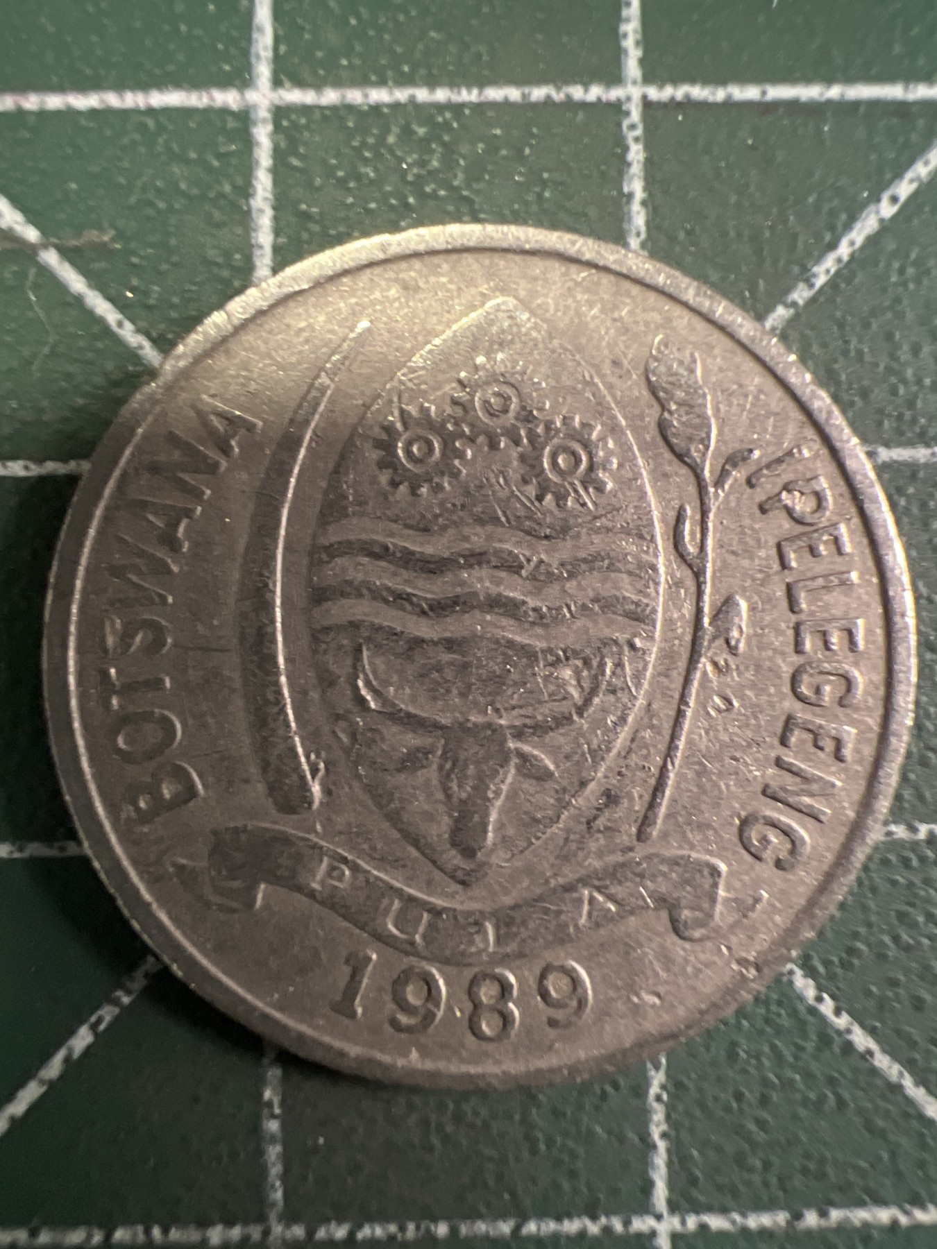 泡泡堂第351期  世界硬币 （无押金，捡漏，全场20包邮，偏远地区除外，接收代拍业务） 博茨瓦纳10瑟比