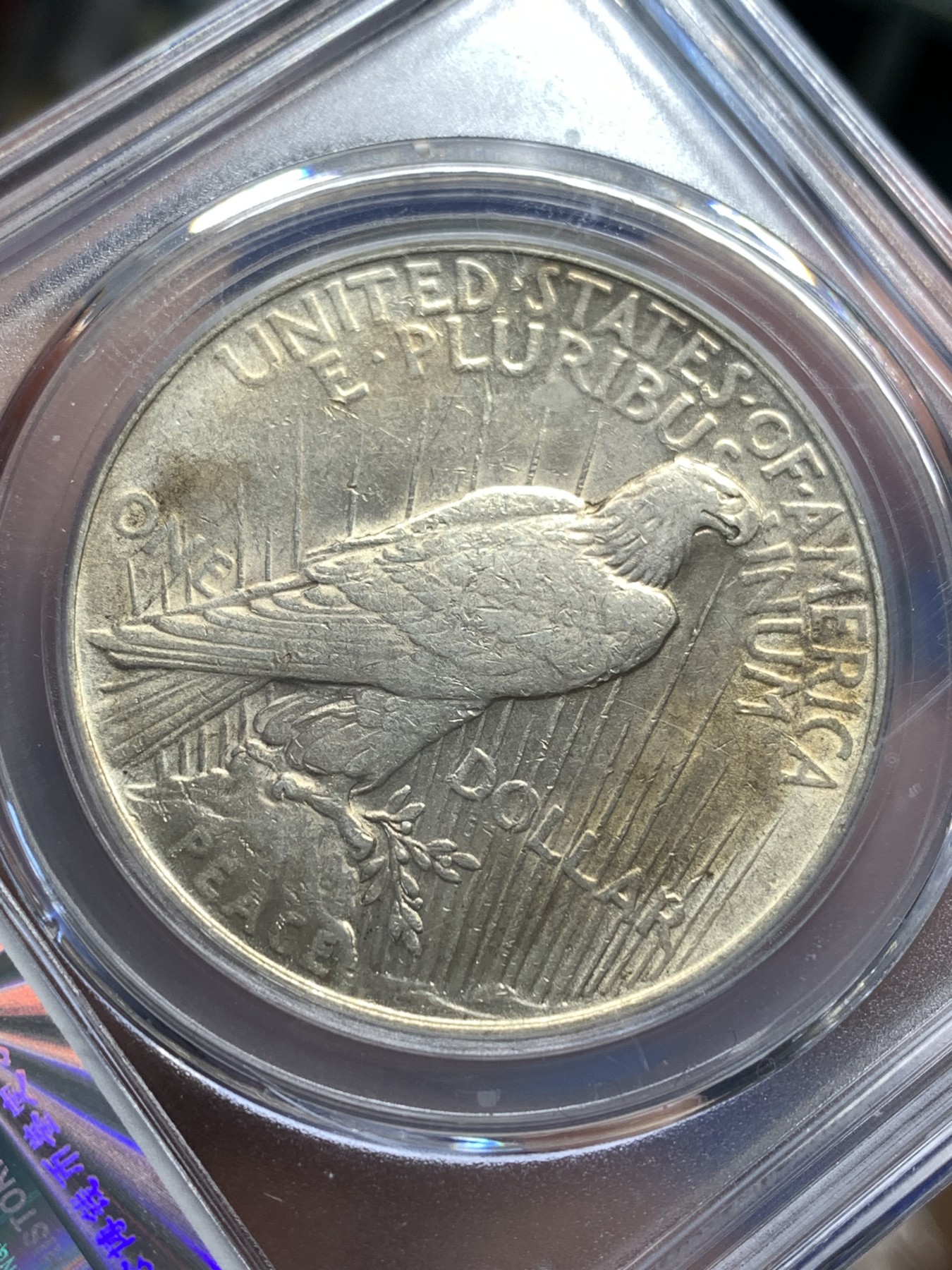 《竞宝斋》第179场-周日，周一2场 (全场包邮) 公博 MS61 美国 1922年 和平 1美元 大银币