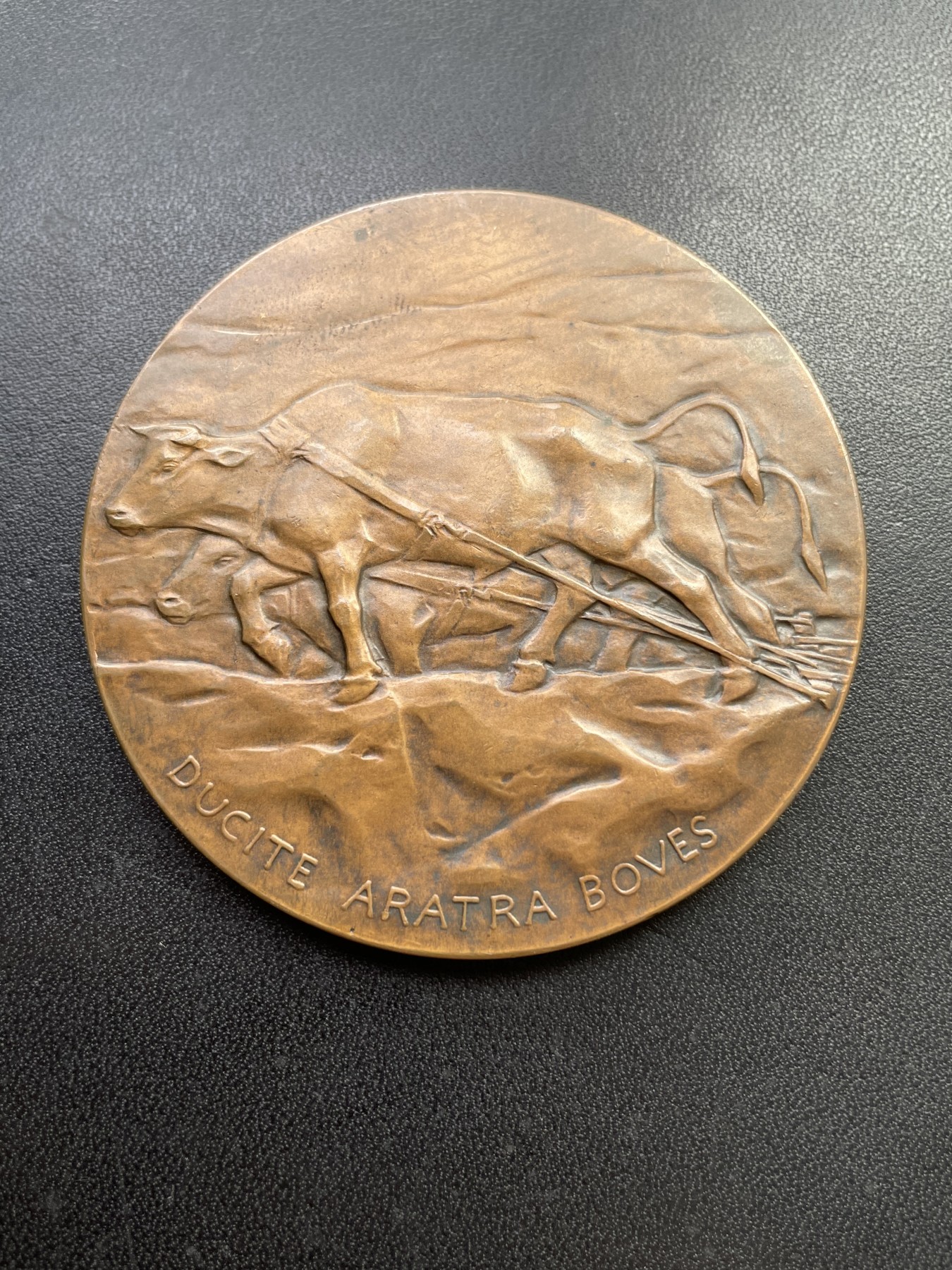 章牌专场-第26期 Lambertus Zijl～1906年农业大铜章 （SHBAMA协会08号作品）直径：66 mm