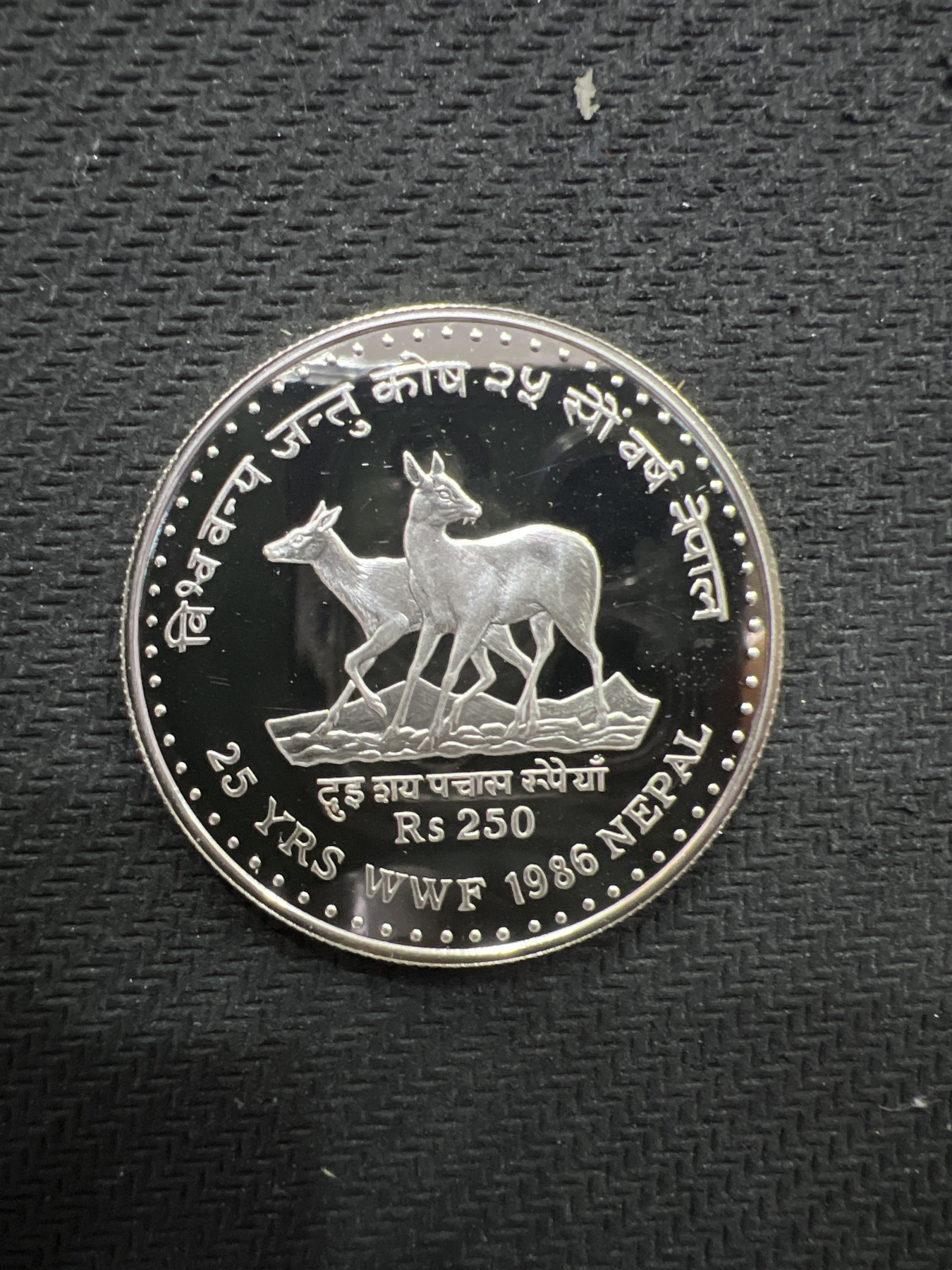 飞翔风筝第三场拍世界纸币银币硬币 尼泊尔1986年精制银币