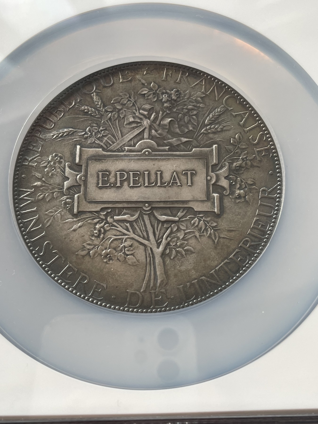 章牌专场-第26期 Chaplain～1885年法国初生儿童保护法大银章  直径:68 mm