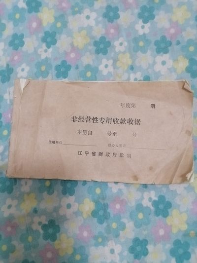 非经营性专用收款收据 - 非经营性专用收款收据