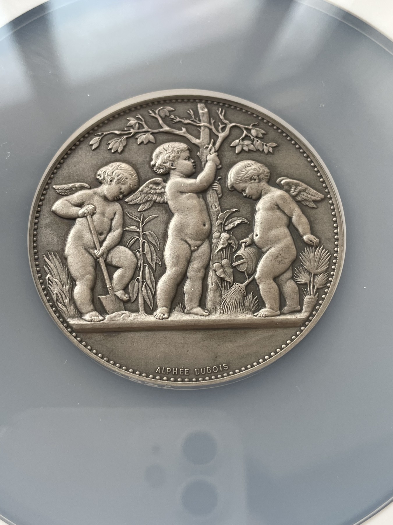 章牌专场-第26期 A.Dubois～法国园艺种植银章 直径：50mm