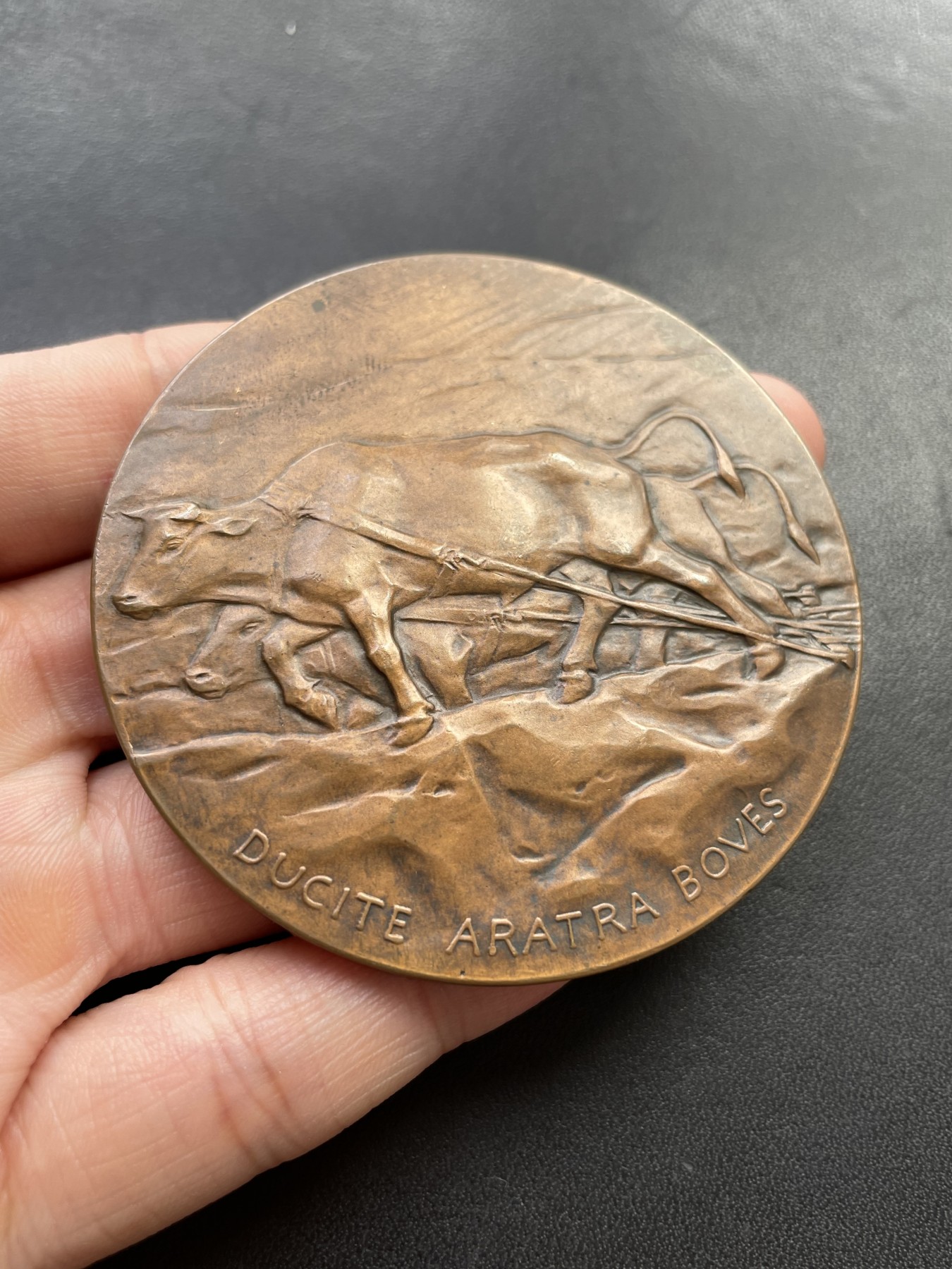 章牌专场-第26期 Lambertus Zijl～1906年农业大铜章 （SHBAMA协会08号作品）直径：66 mm